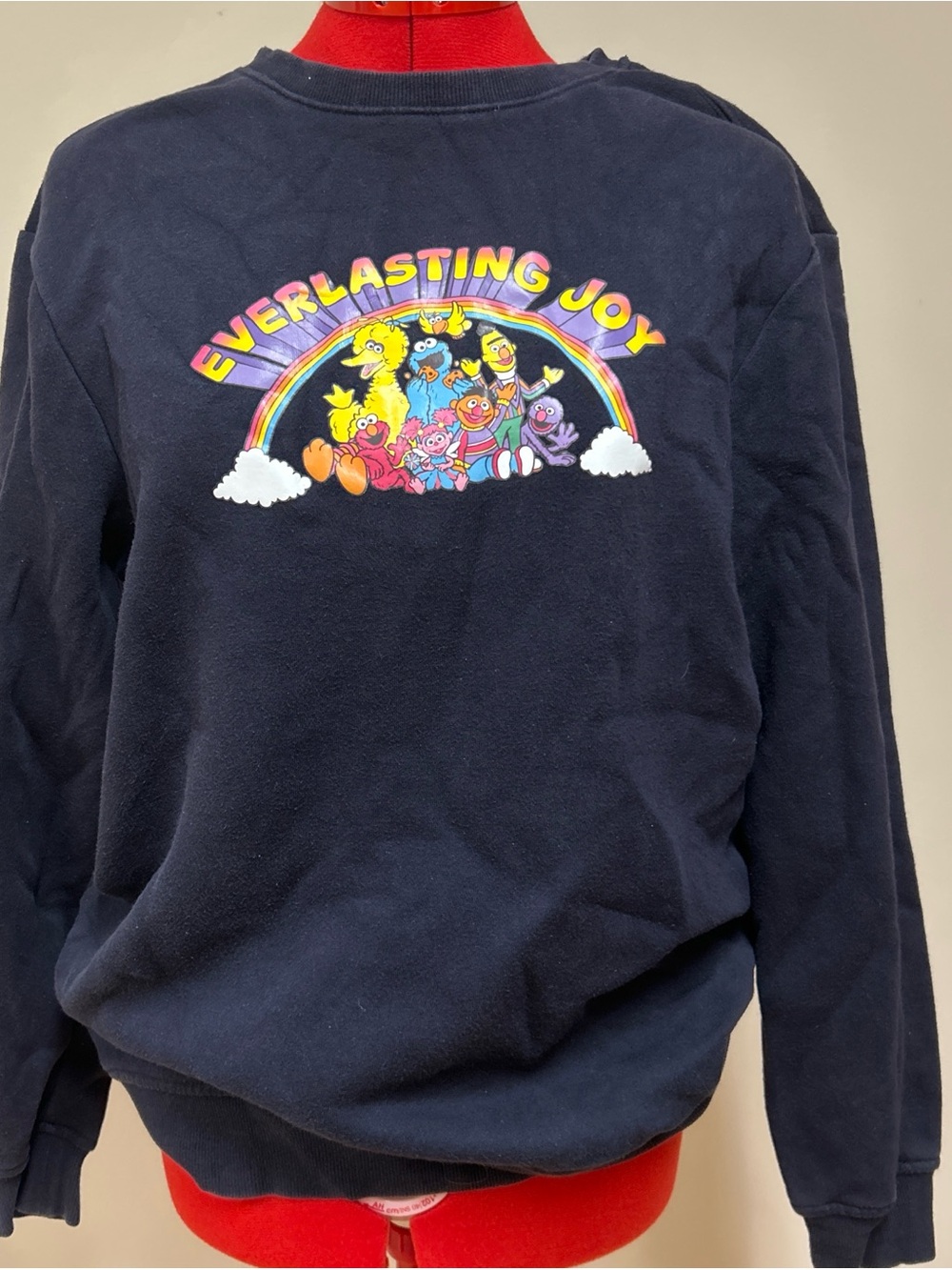 Sesame Street Navy Everlasting Joy Graphic Sweatshirt
